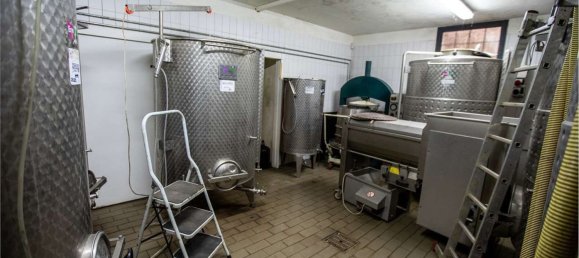 10 rooms Villa in Capalbio, Italy No. 300110 48