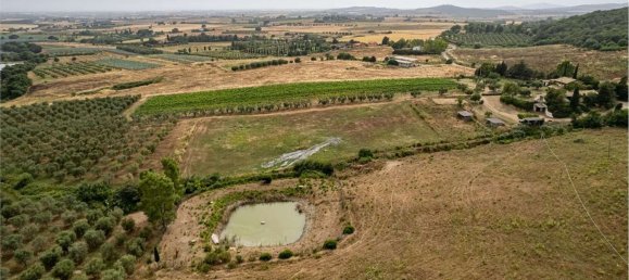 10 rooms Villa in Capalbio, Italy No. 300110 43