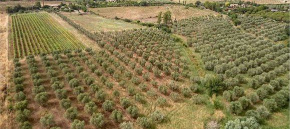 10 rooms Villa in Capalbio, Italy No. 300110 46