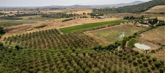 10 rooms Villa in Capalbio, Italy No. 300110 42