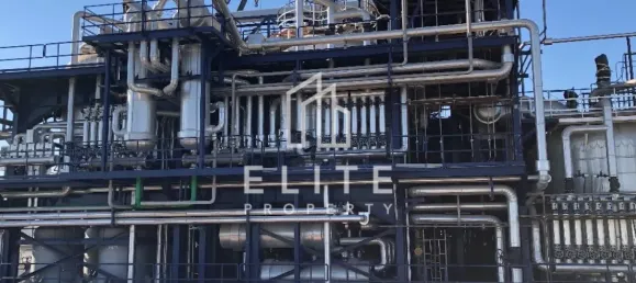 45987m² Factory in Hamriyah Free Zone, UAE No. 97747 10