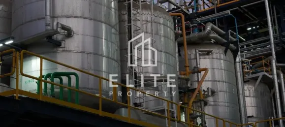 45987m² Factory in Hamriyah Free Zone, UAE No. 97747 12