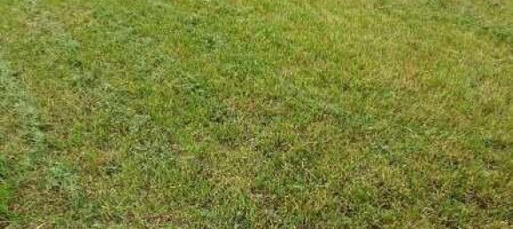 Gewerbliche Immobilie in Röschitz, Austria 234m², Nr. 133969 19