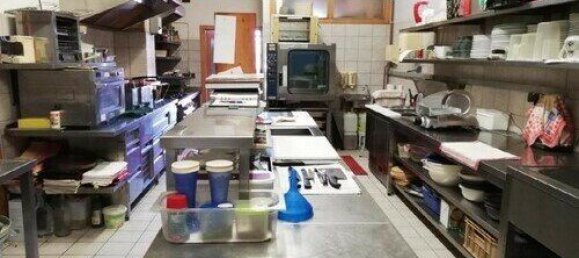 Gewerbliche Immobilie in Röschitz, Austria 234m², Nr. 133969 8