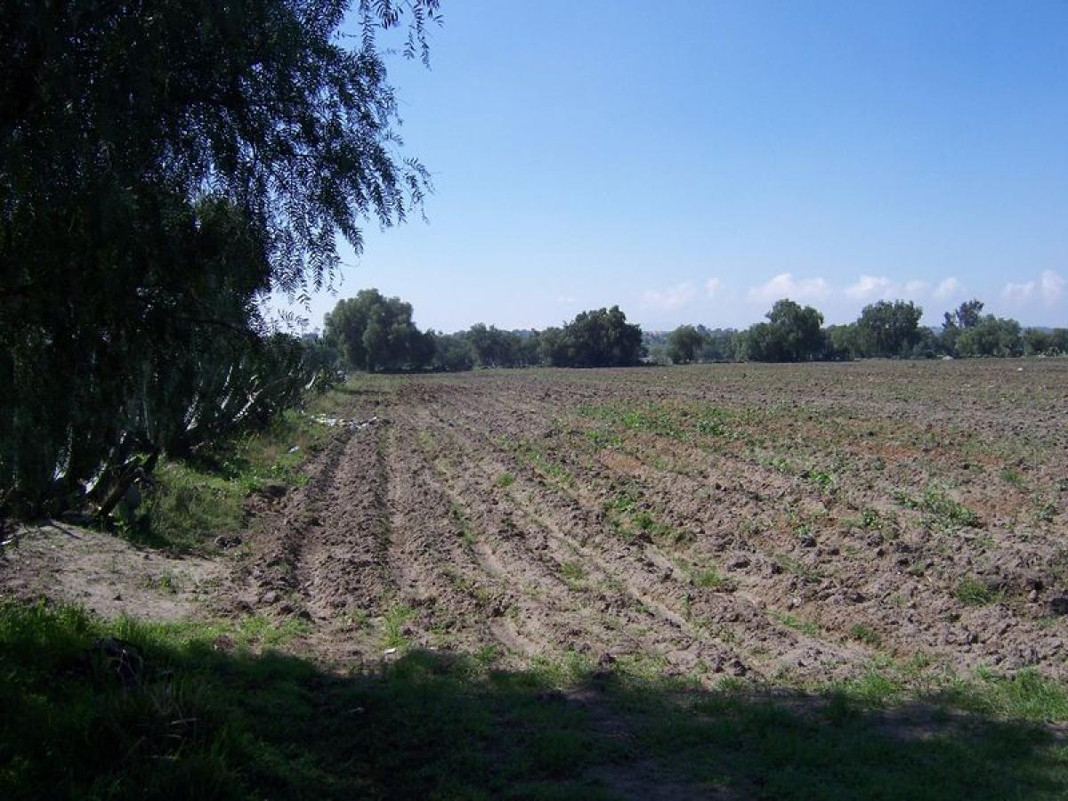 Terrain à Zumpango, Mexico No. 204389