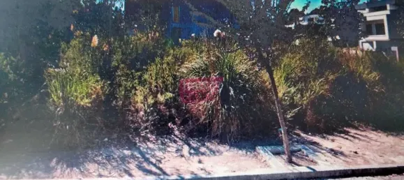 4 bedrooms House in Castelo da Maia, Portugal No. 48051 13