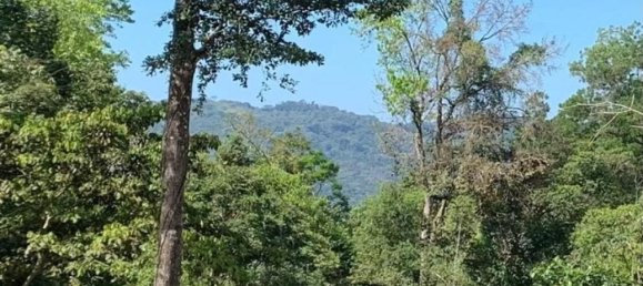  Land in Perez Zeledon, Costa Rica No. 1771 4