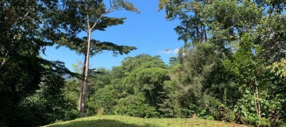  Land in Perez Zeledon, Costa Rica No. 1771 2