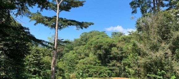  Land in Perez Zeledon, Costa Rica No. 1771 3