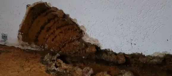 Casa de 4 habitaciónes en Plauen, Germany No. 45882 15