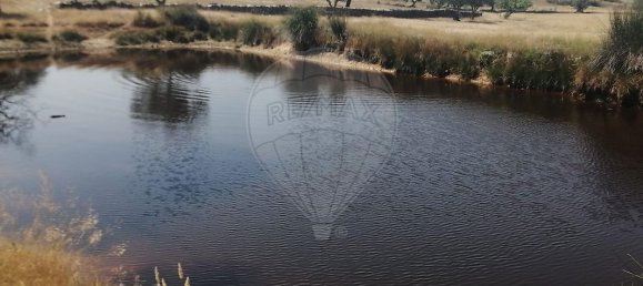 3 غرف نوم منزل في Montalvao, Portugal رقم 18255 9