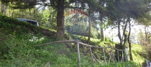 2 bedrooms House in Marliana, Italy No. 285469 6