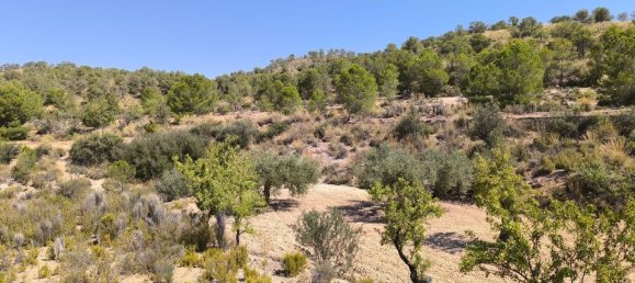 Land in Monovar, Spain No. 189106 2