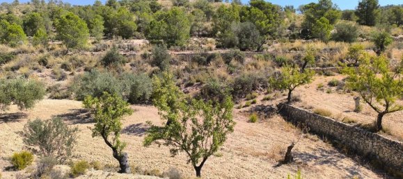 Land in Monovar, Spain No. 189106 5