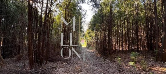  قطعة أرض في Vila Nova de Gaia, Portugal 3805متر مربع رقم 51181 4