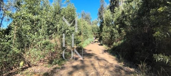  قطعة أرض في Vila Nova de Gaia, Portugal 3805متر مربع رقم 51181 3