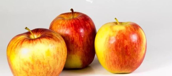 4870m² Land in Trentino-Alto Adige, Italy No. 84718 12