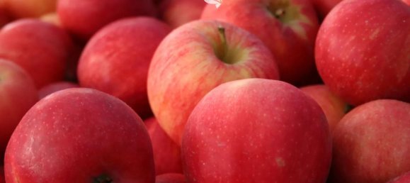 4870m² Land in Trentino-Alto Adige, Italy No. 84718 3