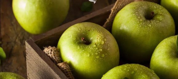 4870m² Land in Trentino-Alto Adige, Italy No. 84718 13