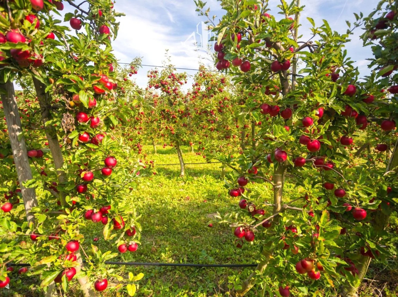 4870m² Land in Trentino-Alto Adige, Italy No. 84718