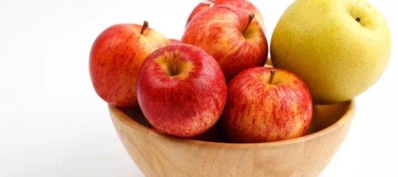 4870m² Land in Trentino-Alto Adige, Italy No. 84718 10