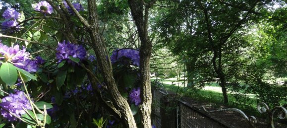 14 rooms Townhouse in Frankfurt am Main, Germany No. 337970 5