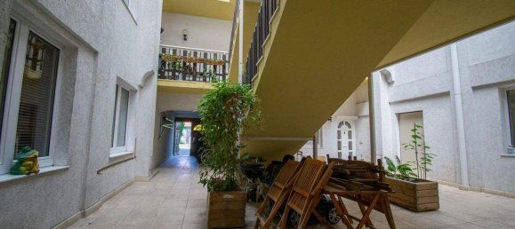 3-Zimmer Wohnung in Langenlois, Austria, Nr. 166493 5