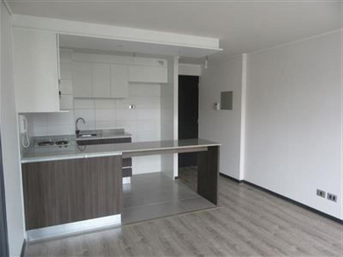 Studio in Santiago, Chile, Nr. 3788