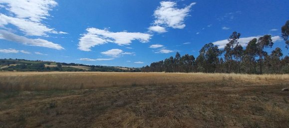 6 rooms House in Scansano, Italy No. 166716 7