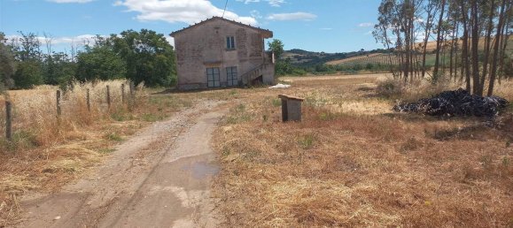 6 rooms House in Scansano, Italy No. 166716 2