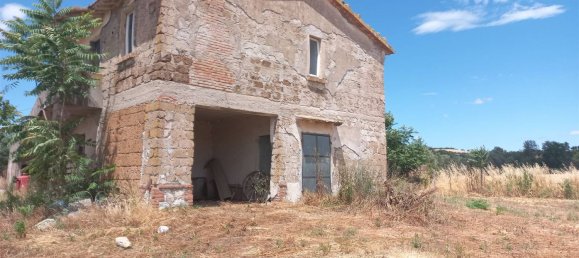 6 rooms House in Scansano, Italy No. 166716 5