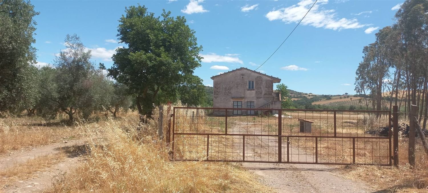 6 rooms House in Scansano, Italy No. 166716