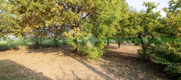 4 bedrooms Villa in Castelfranco Emilia, Italy No. 209044 43