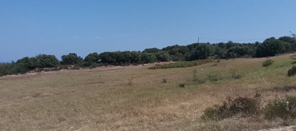 50000m² Hotel in Chalkidiki, Greece No. 5322 4