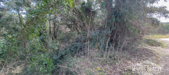 1076m² Land in Lloret de Mar, Spain No. 11316 4