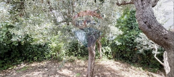 3 غرف نوم منزل في Frisa, Italy رقم 288438 13