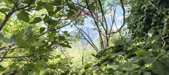 3 غرف نوم منزل في Frisa, Italy رقم 288438 9