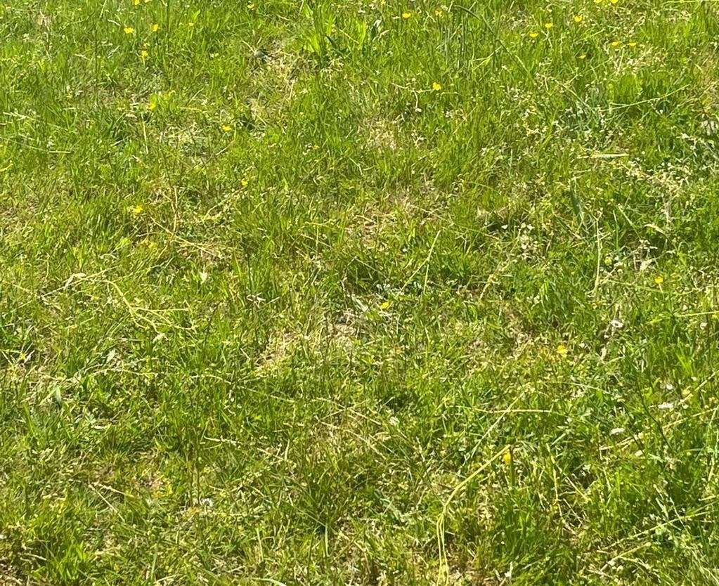  Land in Vogelsbergkreis, Germany No. 74218