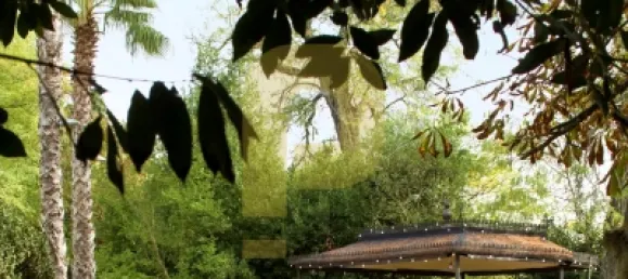 Замки и поместья с 8 спальнями в Элваш, Португалия № 103762 45