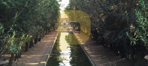 Замки и поместья с 8 спальнями в Элваш, Португалия № 103762 32