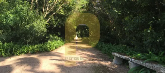 Замки и поместья с 8 спальнями в Элваш, Португалия № 103762 37