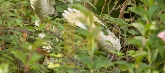 Замки и поместья с 8 спальнями в Элваш, Португалия № 103762 17