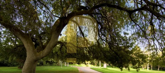 Замки и поместья с 8 спальнями в Элваш, Португалия № 103762 27