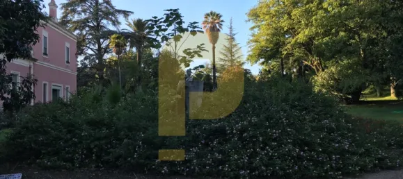 Замки и поместья с 8 спальнями в Элваш, Португалия № 103762 40