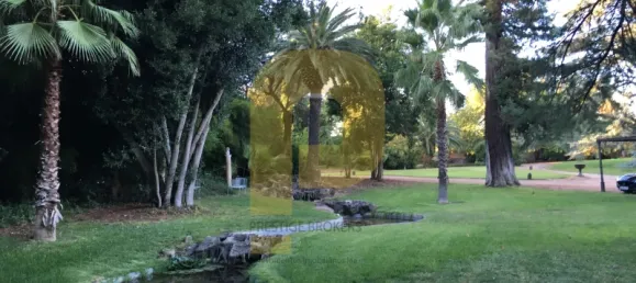 Замки и поместья с 8 спальнями в Элваш, Португалия № 103762 42