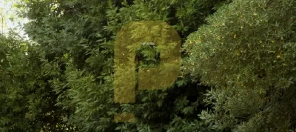 Замки и поместья с 8 спальнями в Элваш, Португалия № 103762 4