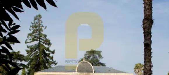 Замки и поместья с 8 спальнями в Элваш, Португалия № 103762 3