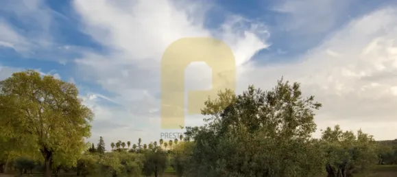 Замки и поместья с 8 спальнями в Элваш, Португалия № 103762 30