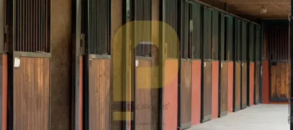 Замки и поместья с 8 спальнями в Элваш, Португалия № 103762 23