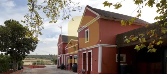 Замки и поместья с 8 спальнями в Элваш, Португалия № 103762 20